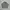 Casual Sweatshirt Pria Gray