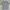 Lyle & Scott Casual Formal shirt Pria white gray photo 1