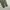 VANS Vintage Streetwear Pria green photo 5