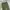 VANS Vintage Streetwear Pria green photo 4