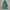 NEPA Windbreaker Kids green photo 3
