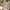 Japanese brand Luxury Grunge Jeans Pria tan photo 1