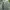 Avirex Luxury Indie Bomber jacket Pria green photo 5