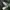 Avirex Luxury Indie Bomber jacket Pria green photo 8