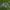 Avirex Luxury Indie Bomber jacket Pria green photo 3