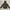 Outerwear Kids Gray