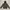 Outerwear Kids Gray