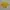 Montbell Outerwear Kids yellow pink photo 4