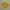 Montbell Outerwear Kids yellow pink photo 2
