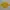 Montbell Outerwear Kids Yellow Pink