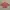 Montbell Outerwear Kids yellow pink photo 3