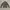 Uniqlo Puffer jacket Wanita gray photo 2