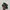 Adidas Casual Sneakers Pria green pink photo 2