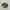 Puma Casual Sneakers Pria green yellow photo 1