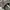 Louis Vuitton Streetwear Luxury Sneakers Pria white photo 6