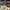 Louis Vuitton Streetwear Luxury Sneakers Pria white photo 3