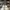Louis Vuitton Streetwear Luxury Sneakers Pria white photo 2