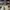 Louis Vuitton Streetwear Luxury Sneakers Pria white photo 4