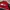 Y2K Biker Formal shirt Pria navy red photo 5