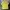 Schott NYC Vintage Biker Formal shirt Pria yellow photo 2
