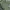 Von Dutch Biker Casual T-shirt Pria green white photo 1