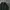 Champion Minimalist Casual Hoody Pria green photo 2