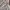 Oakley Casual Track jacket Pria gray photo 5