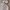 Oakley Casual Track jacket Pria gray photo 6