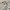 Timberland Casual Hoody Pria gray photo 4