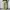 Carhartt Casual Casual pants Pria khaki photo 1