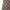 Japanese brand Vintage Y2K Skirt Wanita tan brown photo 3