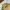 Beanpole Streetwear Casual Harrington jacket Pria khaki photo 8