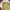 Beanpole Streetwear Casual Harrington jacket Pria khaki photo 7