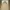 Beanpole Streetwear Casual Harrington jacket Pria khaki photo 6