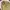 Beanpole Streetwear Casual Harrington jacket Pria khaki photo 3