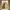 Vintage Streetwear Harrington jacket Pria khaki photo 2