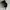 Yohji Yamamoto Vintage Streetwear Hat Pria black photo 4