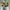 Adidas Casual Casual shoe Pria green yellow photo 6