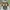 Adidas Casual Casual shoe Pria green yellow photo 5