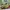 Adidas Casual Casual shoe Pria green yellow photo 3