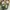 Adidas Casual Casual shoe Pria green yellow photo 7