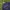 Roberta di Camerino Sportswear Casual Parka Pria navy photo 2