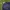 Roberta Di Camerino Sportswear Casual Parka Pria Navy