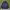 Roberta di Camerino Sportswear Casual Parka Pria navy photo 5