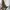 Uniqlo Casual Flare pants Wanita cream photo 4