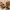 Nike Streetwear Casual Sneakers Pria Gold Red