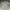 Moncler Casual Polo shirt Pria gray photo 1