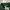 Streetwear Sportswear Fleece Wanita green photo 3