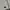 Streetwear Sportswear Fleece Pria green white photo 4