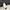 Streetwear Sportswear Fleece Pria green white photo 8
